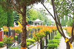 郑州青龙岗纪念园地址在哪？郑州青龙岗纪念园坐几路车能到？
