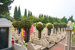 郑州青龙岗纪念园环境怎么样？青龙岗纪念园墓地价格多少钱？