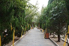郑州青龙岗纪念园销售处位置在哪？郑州青龙岗陵园附近有山吗？