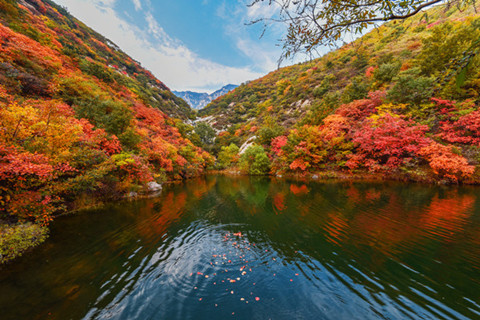 登封市莲花山人文纪念公园2026年度在售墓位价格公示