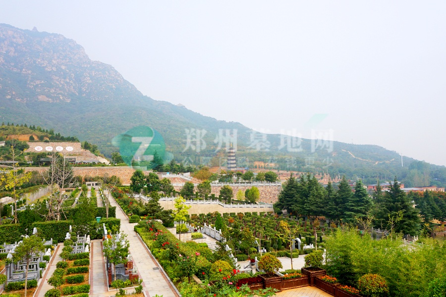 环境景观