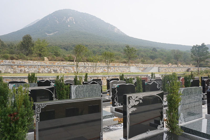 墓区实拍 墓区实拍