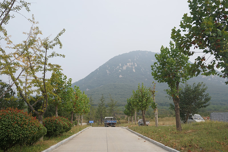 园区道路 园区道路