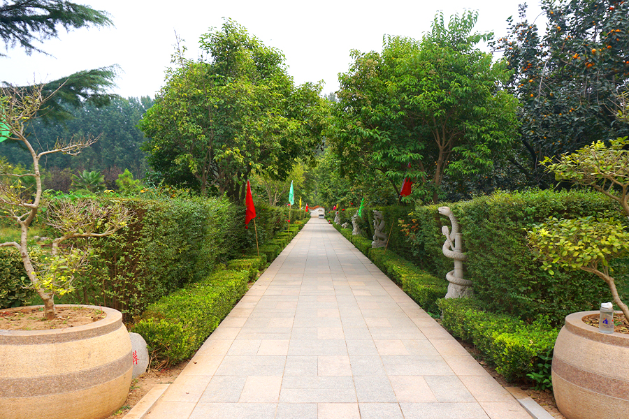 墓区绿化 墓区绿化