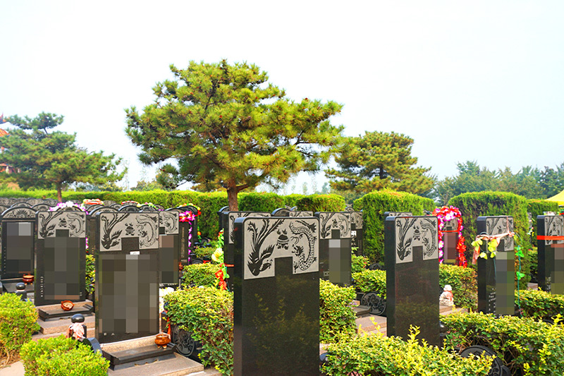 墓区实拍