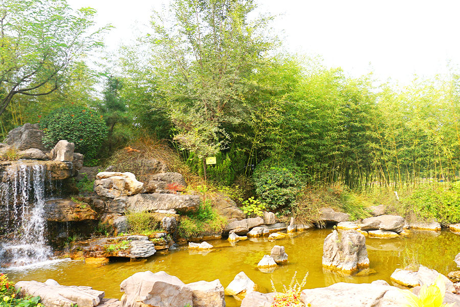 水系景观