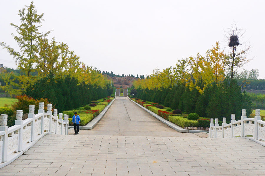 陵园道路景观
