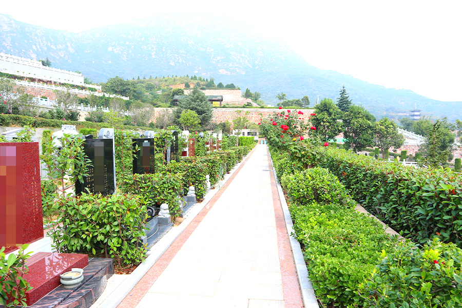 墓区绿化 墓区绿化