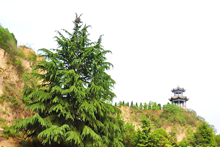 陵园山势景观