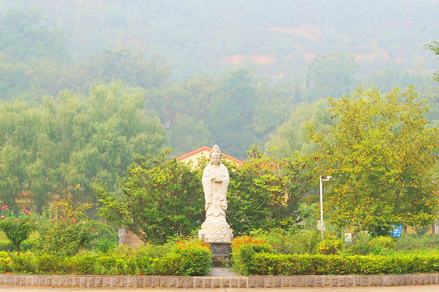 陵园环境实拍