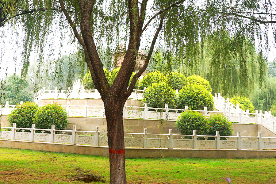 陵园环境 陵园环境