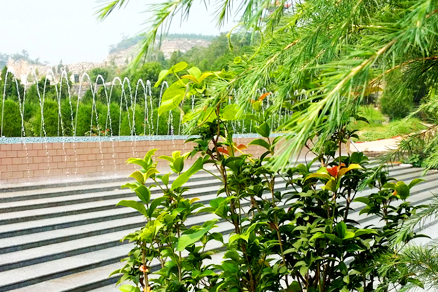 陵园一角 陵园一角